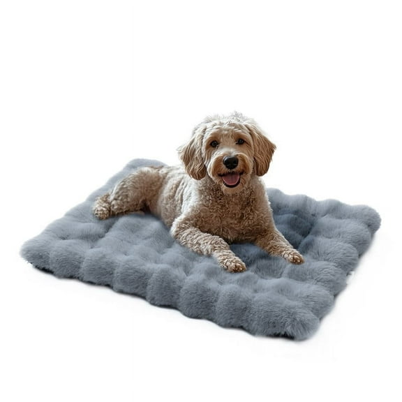 Fluffy Dog Bed for Indoor Cats Dogs Washable Dog Crate Mat with Anti-Slip Bottom Plush Soft Kennel Pad, 30*19