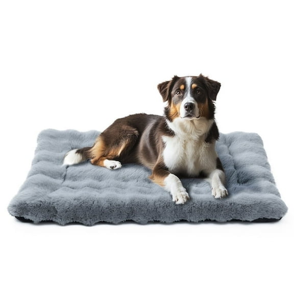 Fluffy Dog Bed for Indoor Cats Dogs Washable Dog Crate Mat with Anti-Slip Bottom Plush Soft Kennel Pad, 36*24