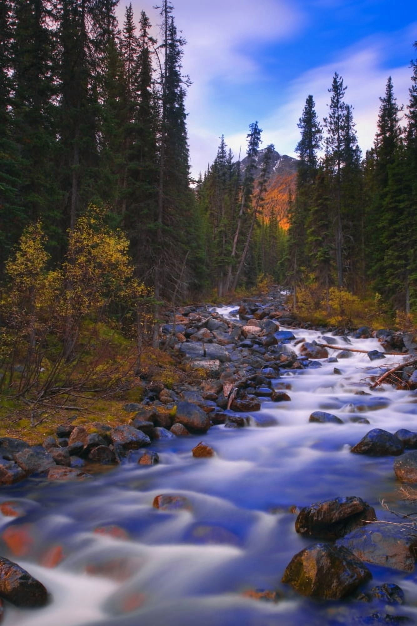 Moraine Creek Banff National Park Alberta Canada Canvas Art - Carson Ganci Design Pics (11 x 17)
