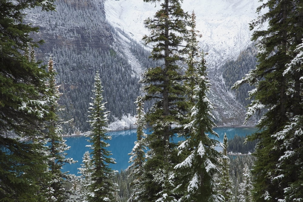 Moraine Lake in Banff National Park Banff Alberta Canada Canvas Art - Carl Bruemmer  Design Pics (19 x 12)