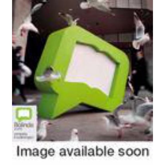 Pre-Owned Morality Play 9781568952970 Used