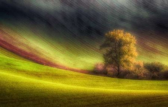 Moravian Fields Canvas Art - Piotr (Bax) Krol (24 x 36)