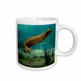 thumbnail image 1 of 3drose, Moray Eel, 11oz Mug, 1 of 6