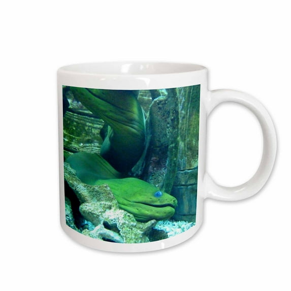 3drose, Moray Eel, 11oz Mug