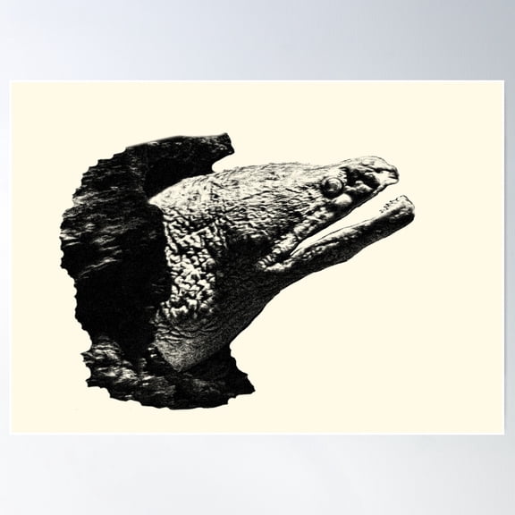 Moray Eel Poster Wall Art, Modern Wall Decor For Living Room Bedroom, 8x12 UNFRAMED