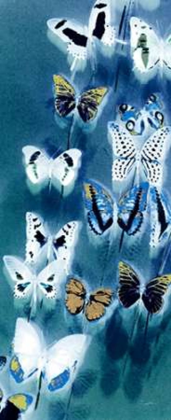 Morccan Blue Butterflies 1 Canvas Art - Evangeline Taylor (10 x 20)