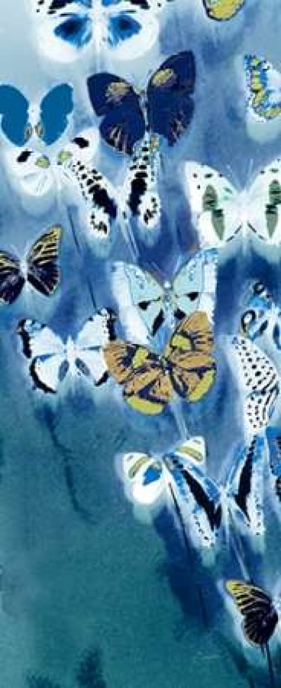 Morccan Blue Butterflies 2 Canvas Art - Evangeline Taylor (10 x 20)