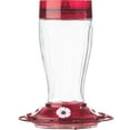 thumbnail interactive-video image 1 of More Birds Big Gulp Hummingbird Feeder, Glass Bottle, 40-oz Nectar Capacity, 1 of 8