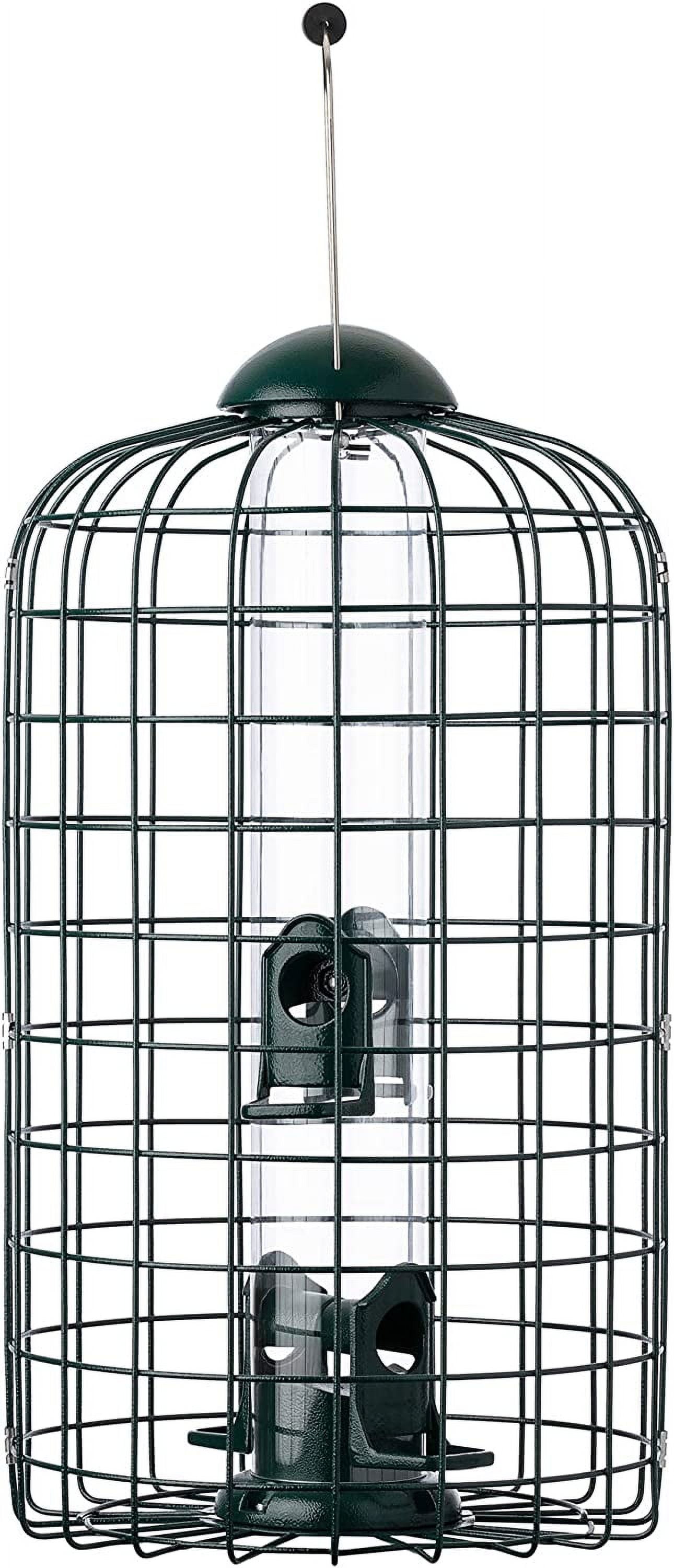 More Birds SquirrelX Bird Feeder, Cage Tube Feeder Keeps Squirrels Out, 4 Feeding Ports, 1.5 lb