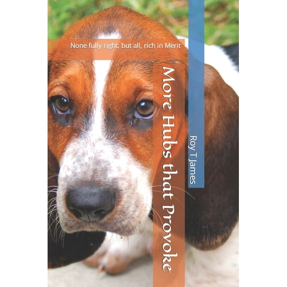 More Hubs that Provoke: None fully right, but all, rich in Merit, (Paperback)