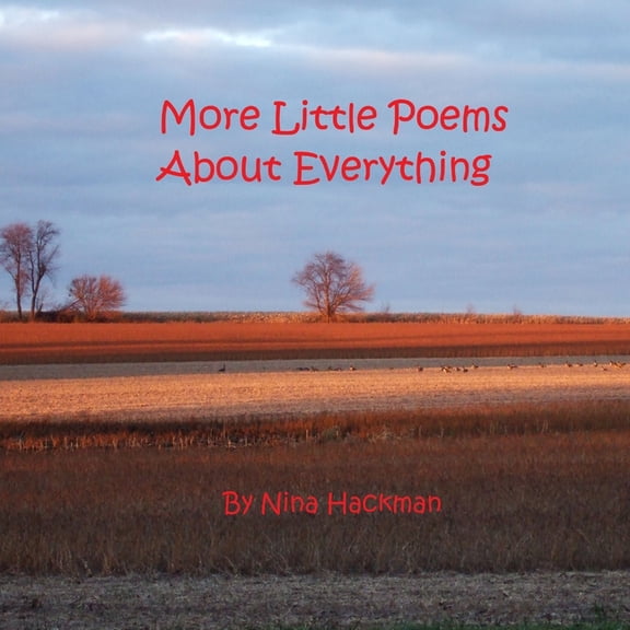 More Little Poems About Everything, (Paperback)
