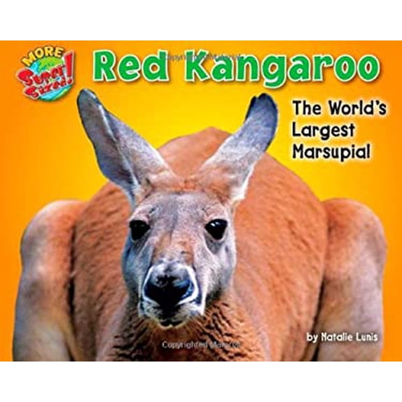 Pre-Owned More Supersized!: Red Kangaroo : The World's Largest Marsupial (Hardcover)
