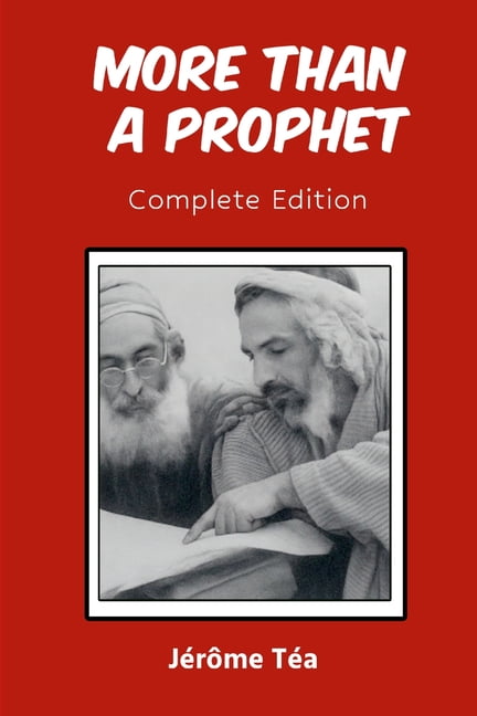More Than a Prophet (Paperback)