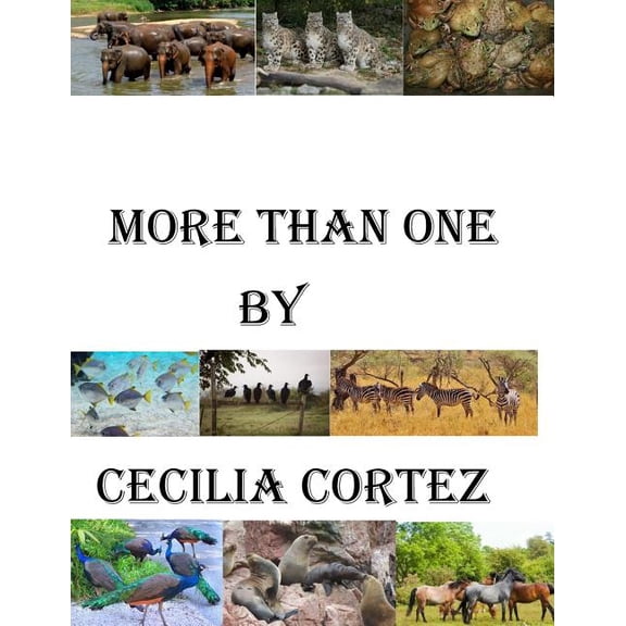 More than one, (Paperback)