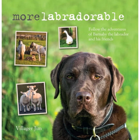 Morelabradorable : Follow the adventures of Barnaby the labrador and his friends (Hardcover)