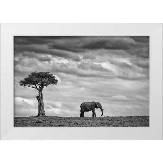 Moreno, Mario 24x17 White Modern Wood Framed Museum Art Print Titled - Elephant Landscape