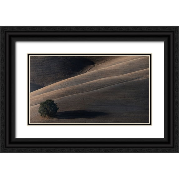 Moretti, Claudio 18x12 Black Ornate Wood Framed with Double Matting Museum Art Print Titled - Soon My Shadow Will Dissolve