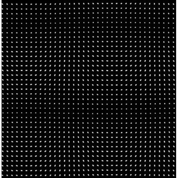 Morgan Zarate - Hookid - Electronica - Vinyl