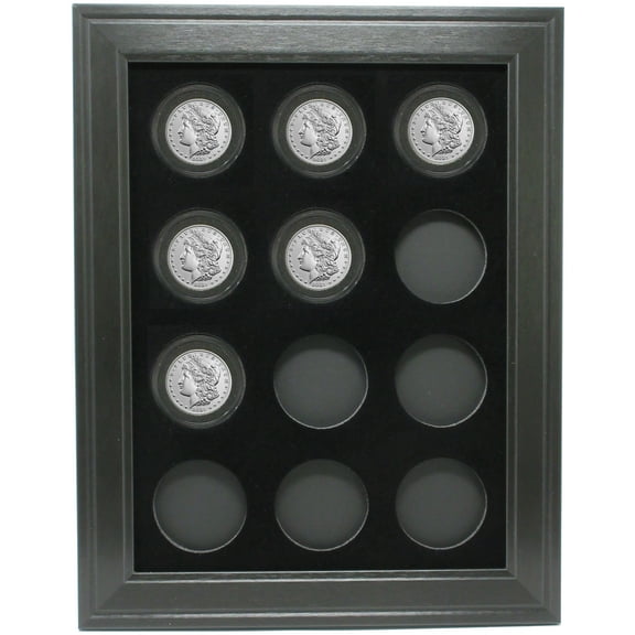 Morgan and Peace Dollar Coins (Not Included) Wall Display Picture Frame Holds 12 Coins Made in the USA