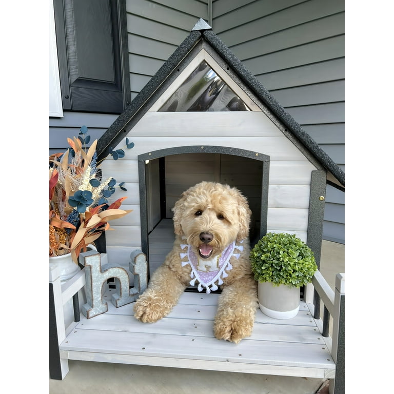 Medium deals dog house