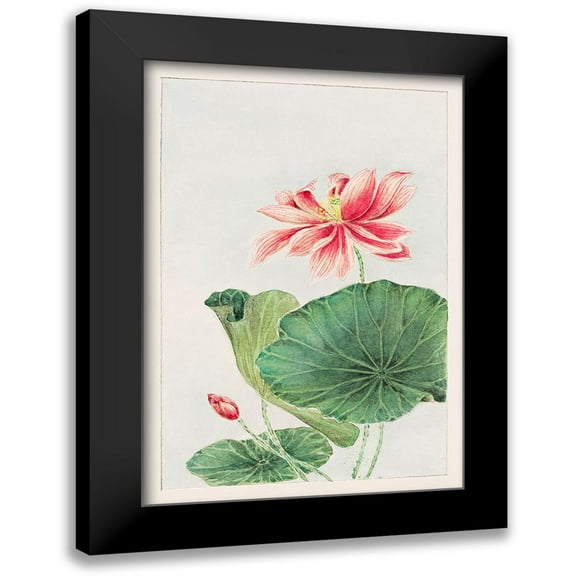 Morikaga, Megata 11x14 Black Modern Framed Museum Art Print Titled - Hasu or lotus
