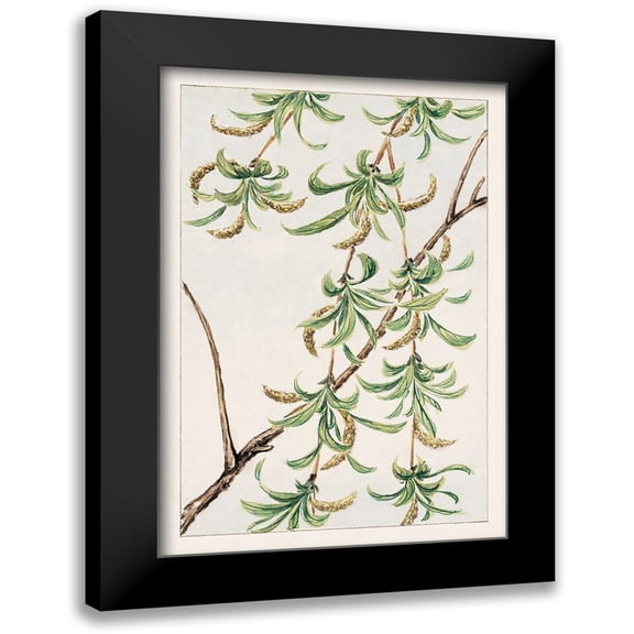 Morikaga, Megata 11x14 Black Modern Framed Museum Art Print Titled - Yanagi or willow