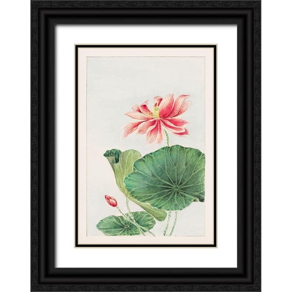 Morikaga, Megata 18x24 Black Ornate Wood Framed with Double Matting Museum Art Print Titled - Hasu or lotus