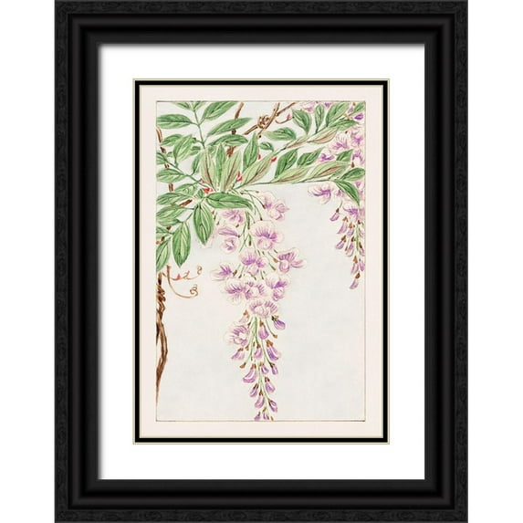 Morikaga, Megata 18x24 Black Ornate Wood Framed with Double Matting Museum Art Print Titled - Wisteria vine with leaves and blossoms