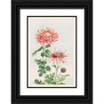 thumbnail image 1 of Morikaga, Megata 23x32 Black Ornate Wood Framed with Double Matting Museum Art Print Titled - Kiku or chrysanthemum, 1 of 4