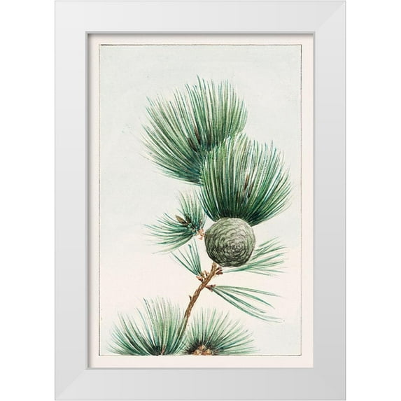 Morikaga, Megata 23x32 White Modern Wood Framed Museum Art Print Titled - Gayo matsu pine
