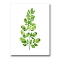 thumbnail image 1 of Moringa Plant Branch Tropical Tree Foliage 12 in x 8 in Painting Canvas Art Print, by Designart, 1 of 4