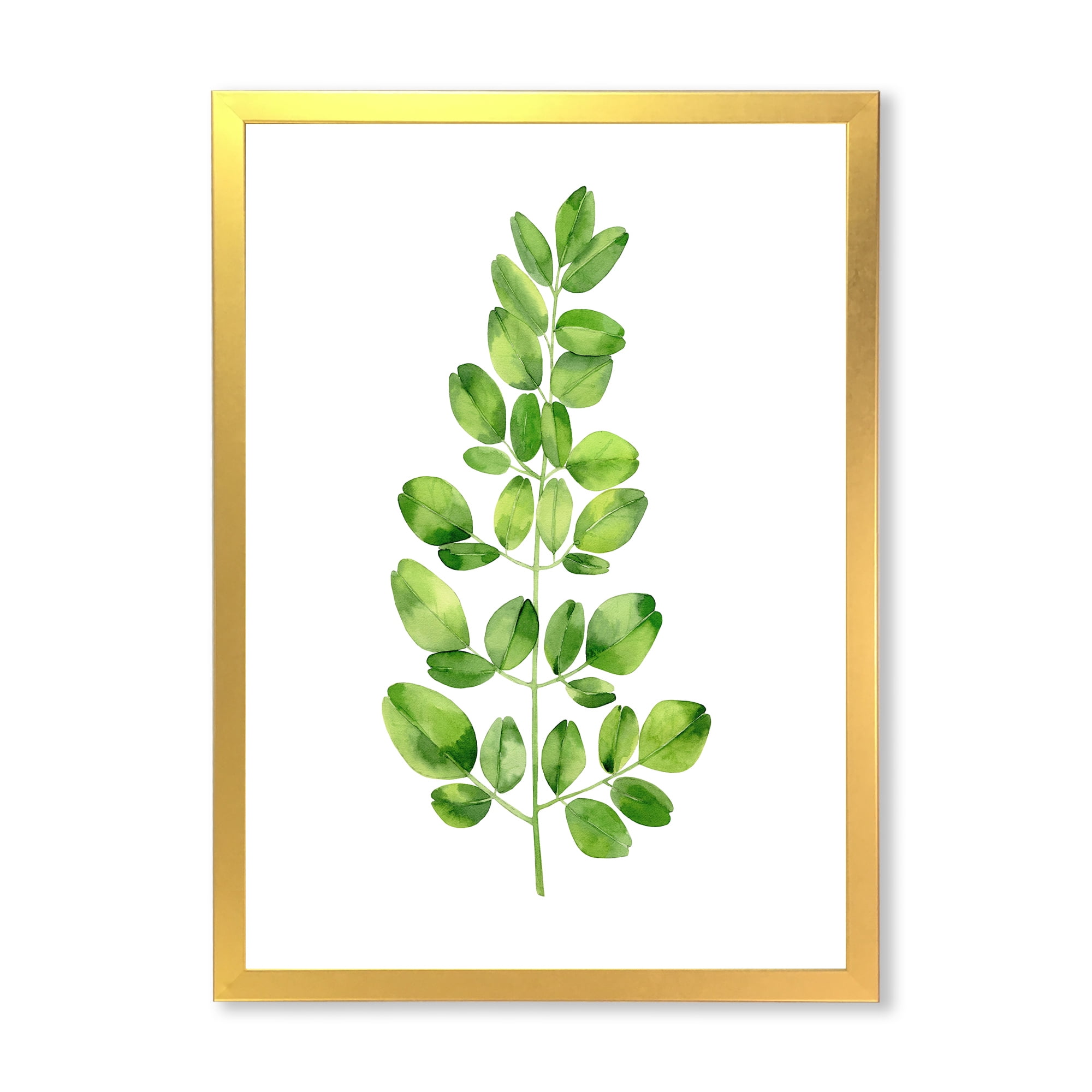 Moringa Plant Branch Tropical Tree Foliage 20 in x 20 in Framed Painting Canvas Art Print, by Designart