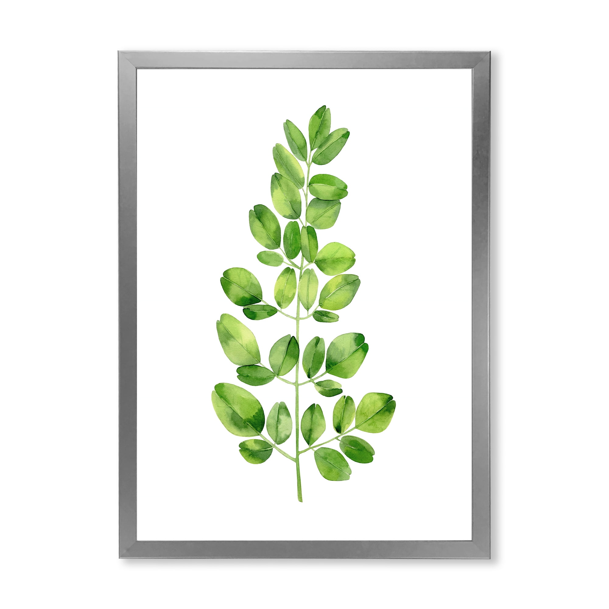 Moringa Plant Branch Tropical Tree Foliage 24 in x 32 in Framed Painting Canvas Art Print, by Designart