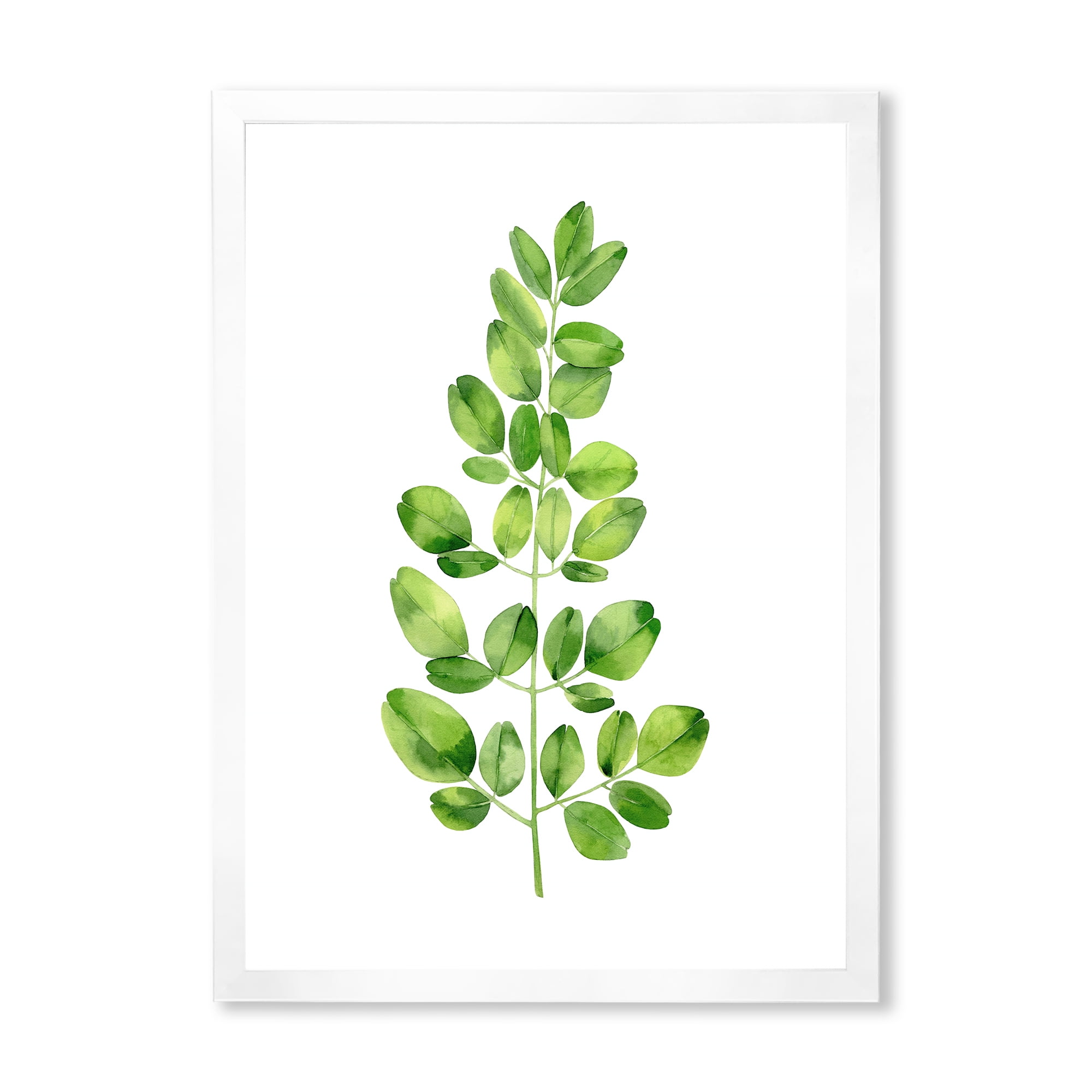 Moringa Plant Branch Tropical Tree Foliage 24 in x 32 in Framed Painting Canvas Art Print, by Designart