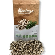 Moringa Seeds 10 ounces, From India