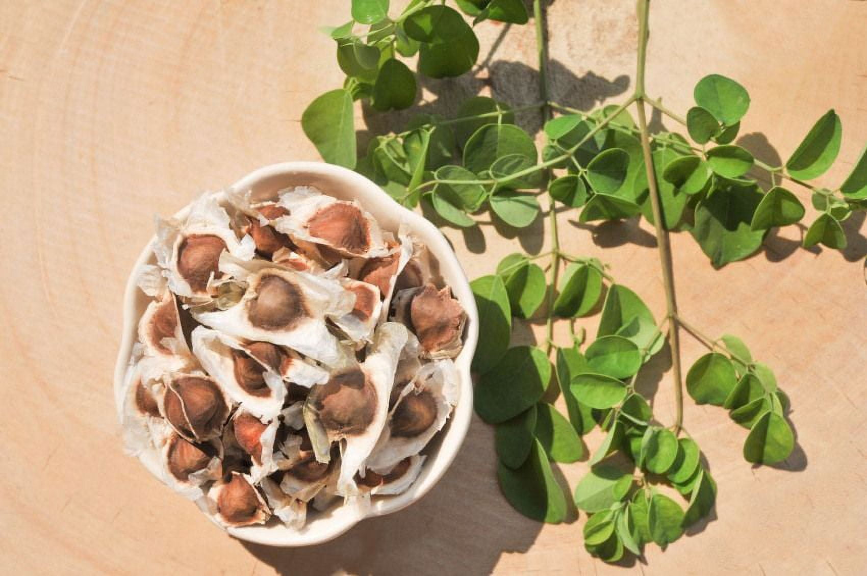 mulching potted plants Garden Elements 100% Natural Cocoa Bean Shell Mulch for Gardens, Flower Beds, Potted Plants, Mulching 2 CF