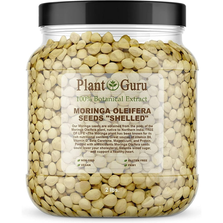 plant with licorice flavored seeds Licorice, American