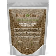 Moringa Seeds Wingless 4 oz. - PKM1 Variety - Edible Snacking - Planting - Moringa Oleifera - Malunggay - Semillas De Moringa - Drumstick Tree - Non-GMO - 400 to 500 Seeds
