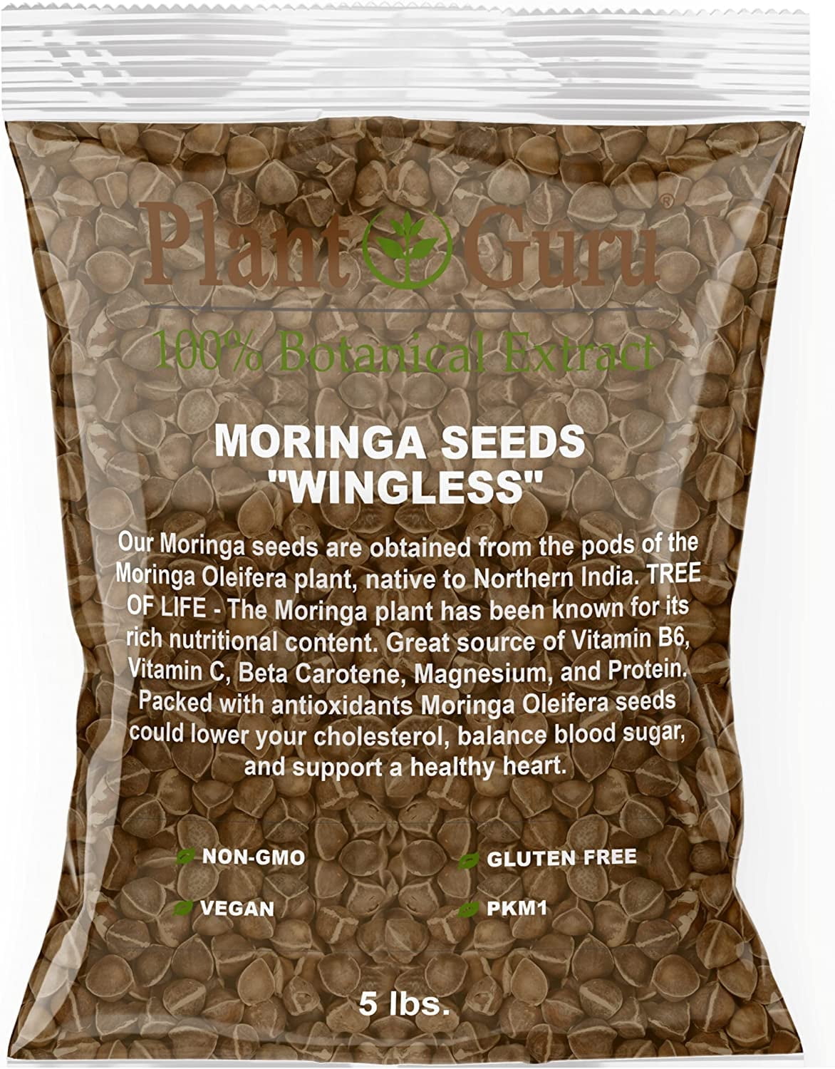 Moringa Seeds Wingless 5 lbs. Bulk - PKM1 Variety - Edible Snacking - Planting - Moringa Oleifera - Malunggay - Semillas De Moringa - Drumstick Tree - Non-GMO - 8,000 to 10,000 Seeds