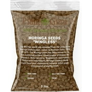 Moringa Seeds Wingless 5 lbs. Bulk - PKM1 Variety - Edible Snacking - Planting - Moringa Oleifera - Malunggay - Semillas De Moringa - Drumstick Tree - Non-GMO - 8,000 to 10,000 Seeds