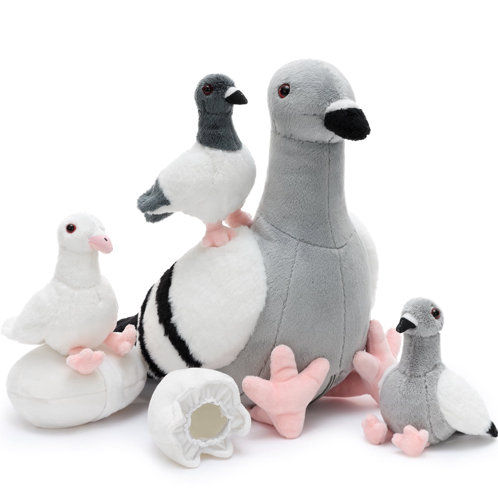 Pigeon