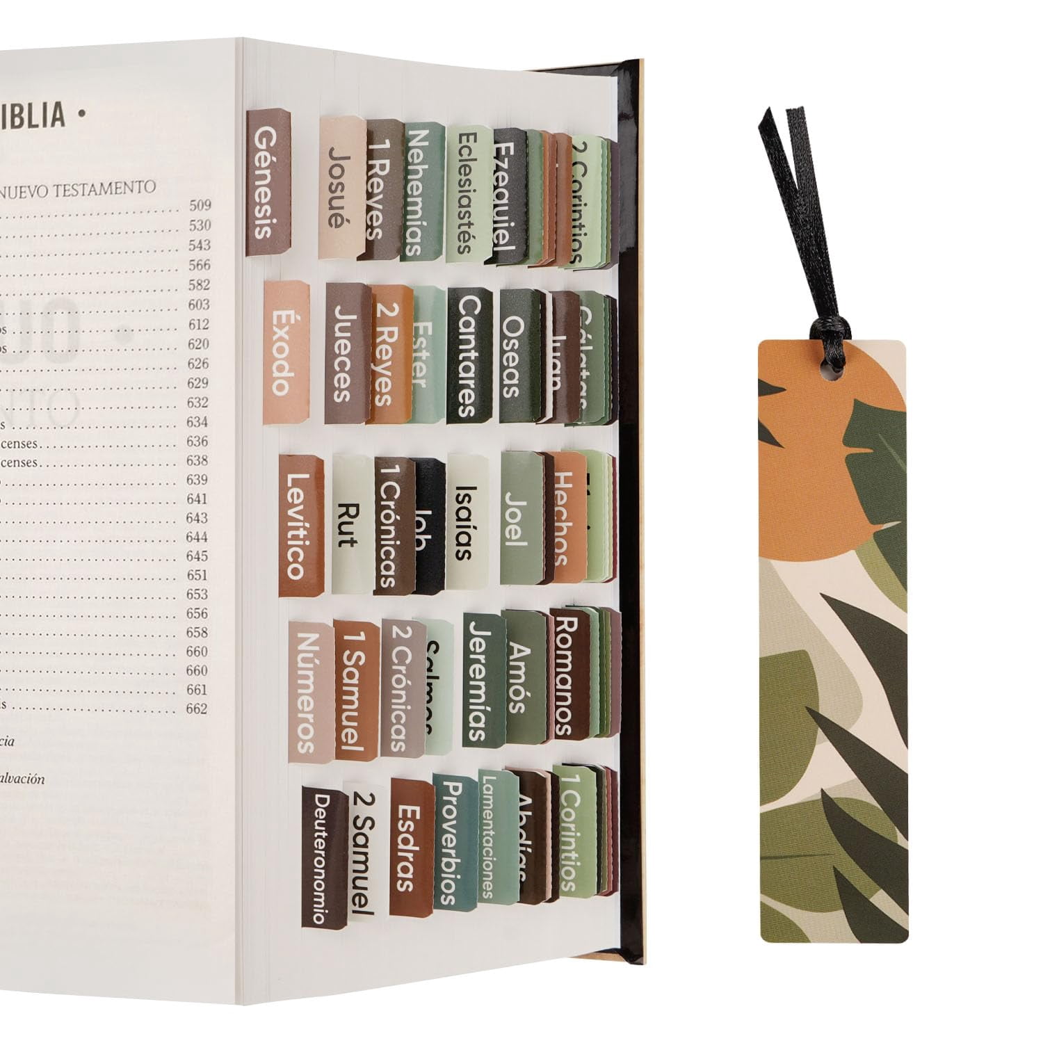 Morjor Spanish Bible Tabs for Women and Men, separadores de biblia en ...