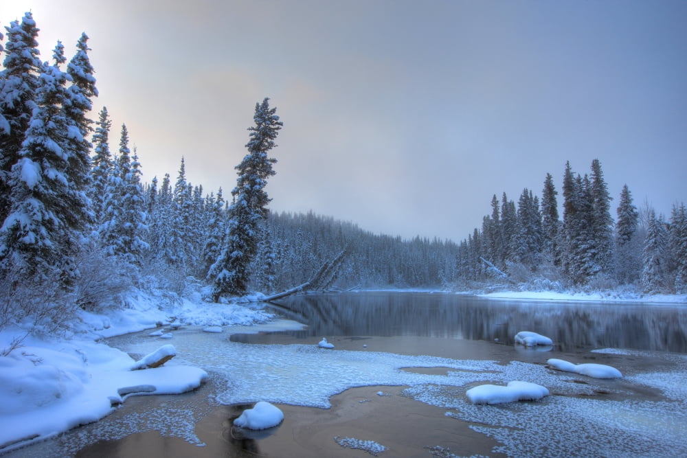 Morley River In Winter Near Teslin Yukon Canvas Art - Robert Postma Design Pics (17 x 11)