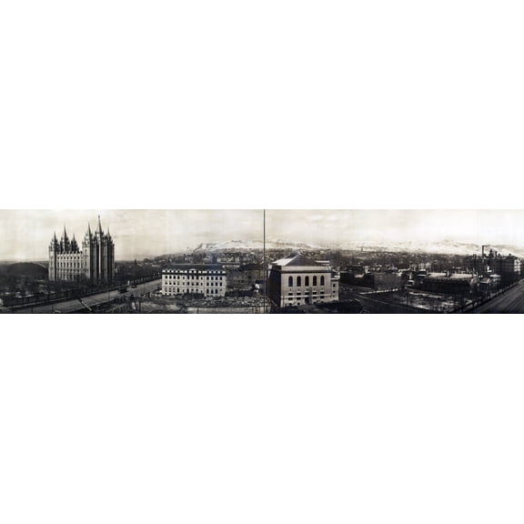 Mormon Temple History (24 x 18)