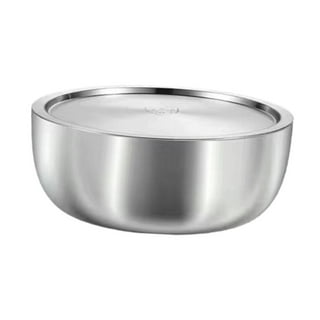 Stainless Steel Dish Pan