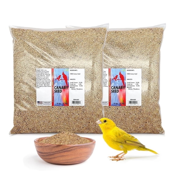 Morning Bird Canary Seed 18 lbs (2-Pack, 9 lbs Each) – Nutritional Rich in Vitamins and Supplements for Birds – Ideal for Healthy Feathers and Strong Bones Seed for All Birds Type