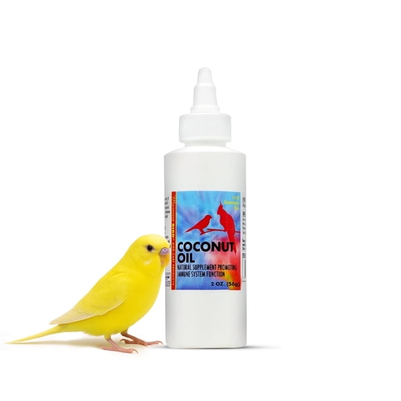 Morning Bird Coconut Oil for Birds 2 oz – Supports Immunity & Digestion – Boosts Energy & Feather Health – Easy to Mix with Food Pure Cold Pressed Formula – Safe for All Bird Life Stages