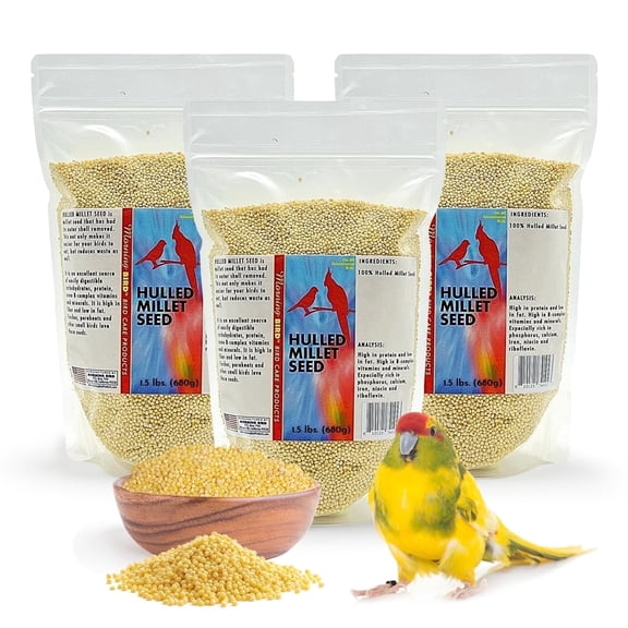 Morning Bird Hulled Millet 4.5 lbs (3-Pack, 1.5 lbs Each) – Nutritious Seed, Easily Digestible with High Fiber, Rich in Vitamins and Supplements for Birds, Ideal Bird Feed for All Bird Types,