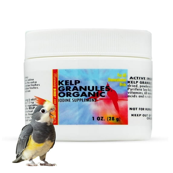 Morning Bird Kelp Granules 1 Oz – Iodine Supplement for Birds