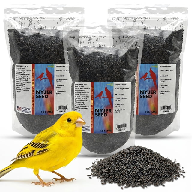 Morning Bird Nyjer Seed for Birds 4.5 lbs (3-Pack, 1.5 lbs Each) - Bird ...